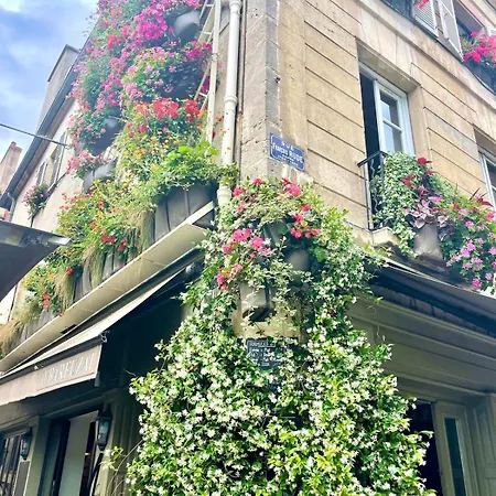 Cosy La Chouette * Dijon